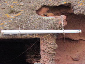 el tema electrico no es su fuerte